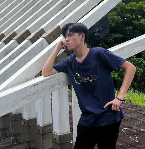 Proposed Culture And Recreation Committee - Alvin Lau